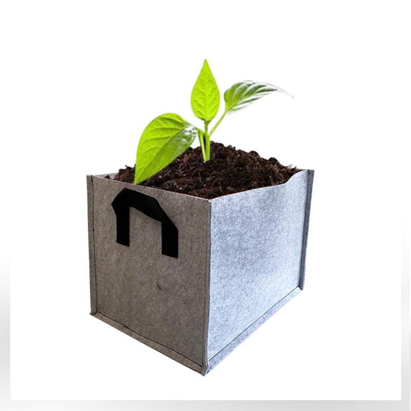 Túi trồng cây vuông
